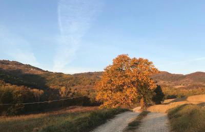Cottage, relax nella natura, colline, parcheggio, Wifi - Photo 41