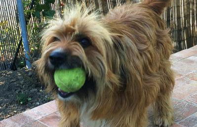 La Fabbrichina Il luogo della pace - Foto 47