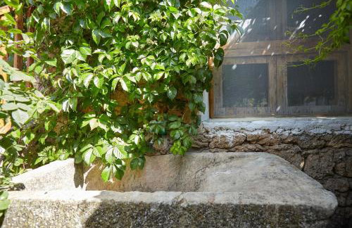 Cortijo el Soto - Foto 20