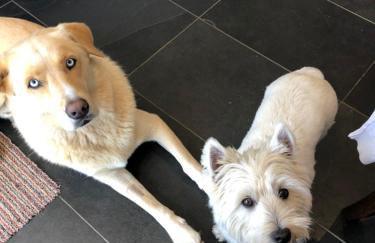 Rose Lodge - Photo 18