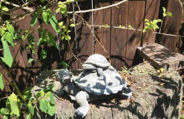 Magnolia Streamside Resort - Foto 44