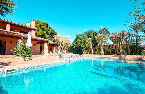 Finca fustera - Foto 52