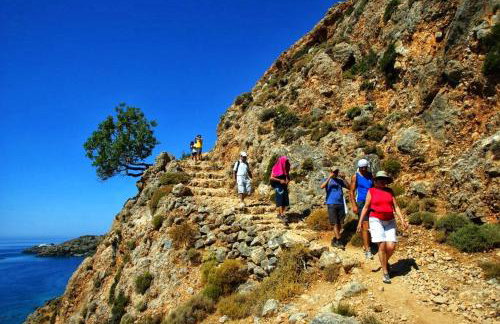 Traditional Villa Askyfou - Photo 67