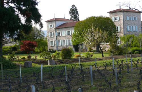 Séjour élégance et bien-être au CHATEAU de GRANDMONT - piscine et parc arboré au coeur du vignoble du Beaujolais - Foto 18