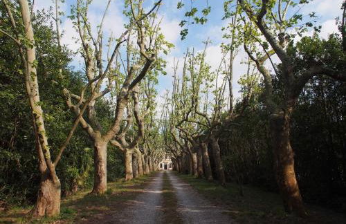 Windrose Casabianca - Foto 32