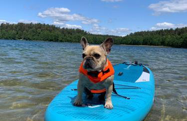 Osada Wejsuny - Foto 73