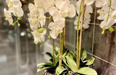 Cosy Cottage Central Bawtry - 2 Bedroom - High End Furnishings - Foto 30