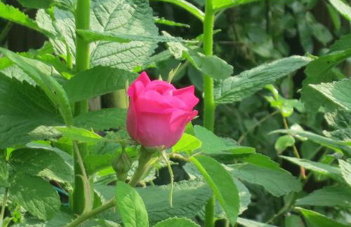 Cà di Minù - Foto 27