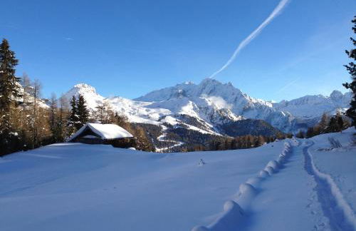 Chalet Tobià Apartments - Foto 43