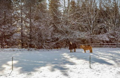 3 Bed in Huntly 57368 - Photo 19