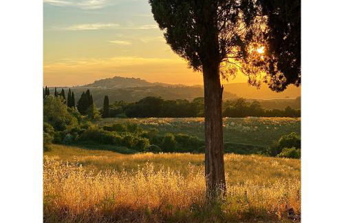 Villa Casa Collina Castelfalfi with amazing salt waterpool & AIRCO & VIP service - Foto 48