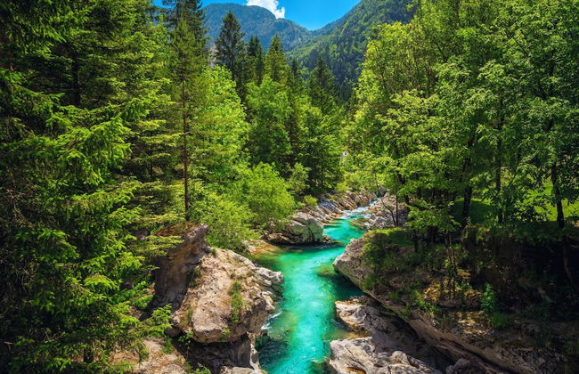 House By The Stream - Foto 27