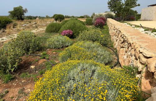 FICOMORO FARM - Foto 27