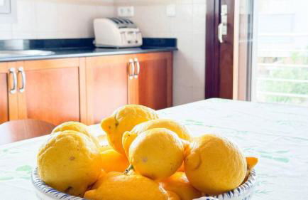 Best Leisure in Playa de Palma - Photo 10