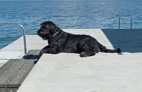 Ferienhaus Ebsen HH 2 - Foto 11