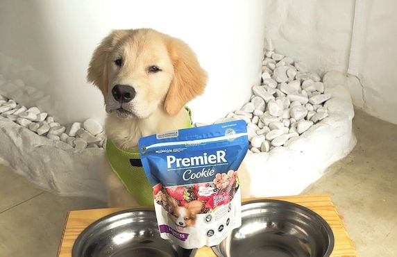 Casa Natu Mirante - Foto 38