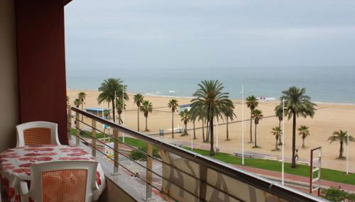 Don Ximo Solo Familia Serviplaya - Foto 5