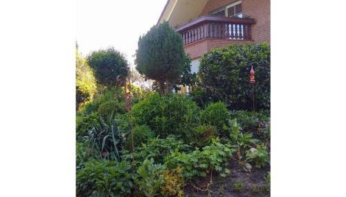 Ferienwohnung am Heidesee - Foto 2, Garden