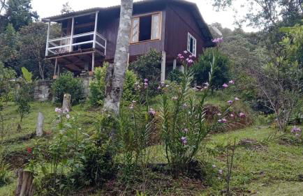 Rancho Maria Flor - Photo 16