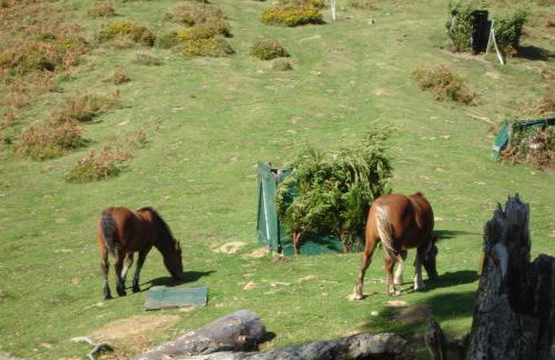GITE LES 3 EDELWEISS - Maison SEGUITTE - 6 PERSONNES - Foto 28