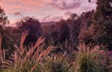 Podere La Gualda Vecchia alloggi di charme immersi nel Giardino Emozionale outdoor SPA - Foto 15