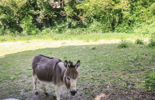 Fisherman's Cottage - Photo 18