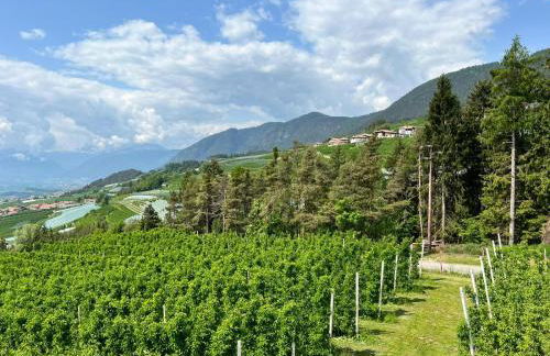 Agritur Maso Forcola - Photo 5