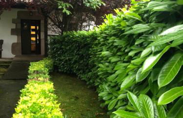 HdeC Hosteria de Castañeda Alojamiento Turistico - Foto 39