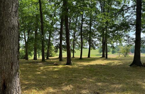 Sherwood Forest Park- 6BD/3BA on Private Ohio Land - Foto 55