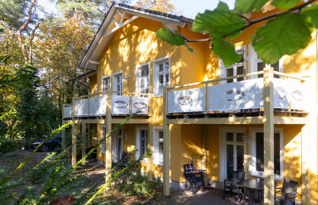 Zaunkönig - Foto 27