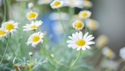 Ferienwohnung An der Eichenallee, 35200 - Foto 3