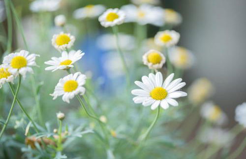 Ferienwohnung An der Eichenallee, 35200 - Foto 3