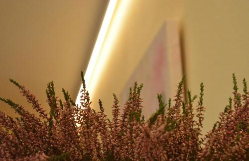 APARTAMENTO PUERTA DE CÓRDOBA- Exterior con balcones - Foto 28