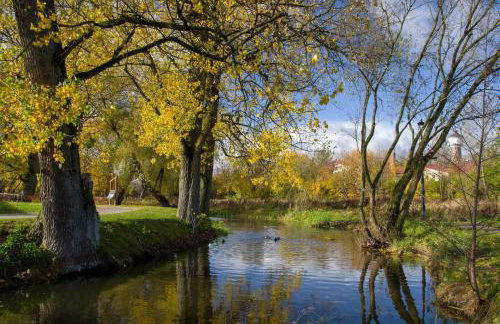 Apartament Olecko Centrum - Foto 39