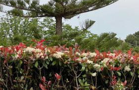 Ellie's house Theologos - Foto 13