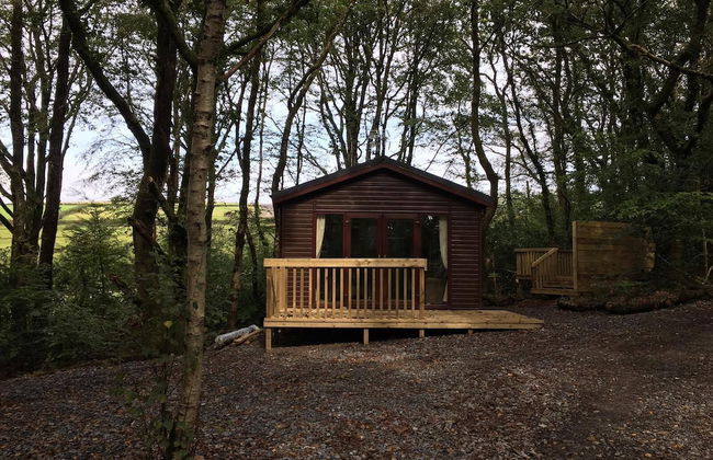 Woodland View Hot Tub - Foto 1