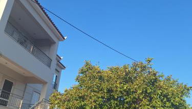 Sofias Studio - Photo 2