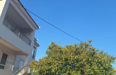 Sofias Studio - Foto 2