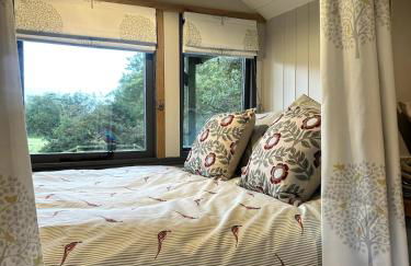 Shepherds hut, Eco, Log burner Hot tub NY moors - Foto 15