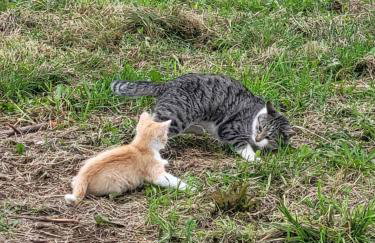 Apartament Różane Wzgórze - Foto 62