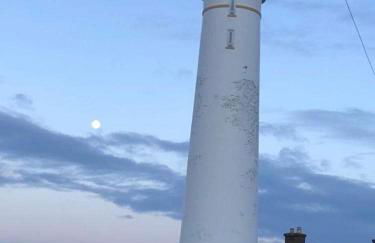 The Thin Seagull 4 Beacon Terrace Ferryden - Photo 42