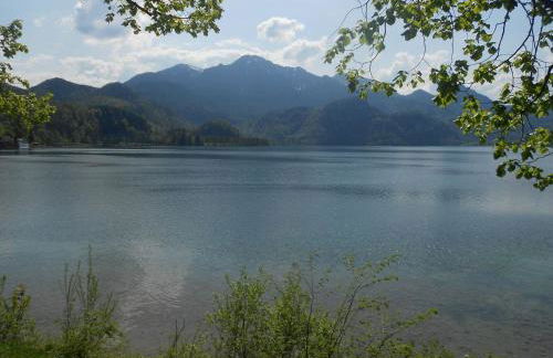 Aparthotel Alpenpark - Foto 26