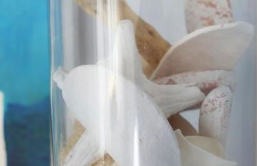 Casa Santangiolese in the heart of Sant'Angelo - Foto 14