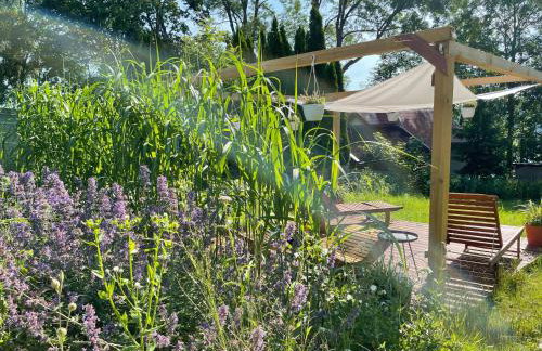 Wikno 3 Woda i Las - Foto 18