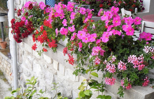 Apartmani Kestenovi dvori - Foto 23