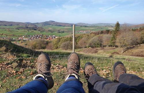 Am Park Comfortable holiday residence - Photo 39