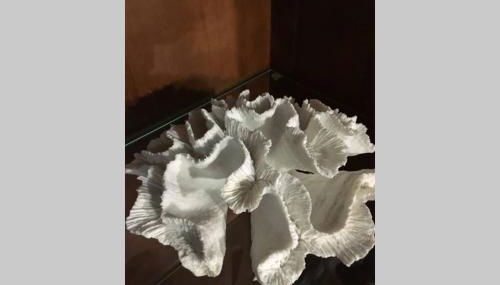 Casa antigua reformada junto al mar - Foto 5