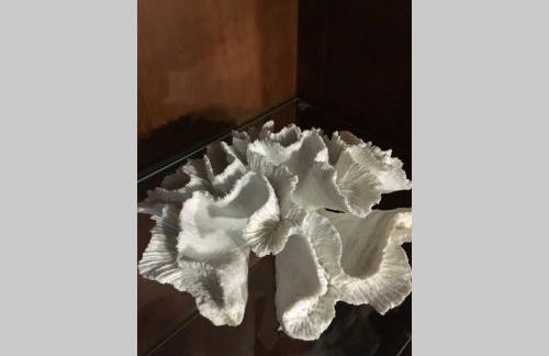 Casa antigua reformada junto al mar - Foto 5