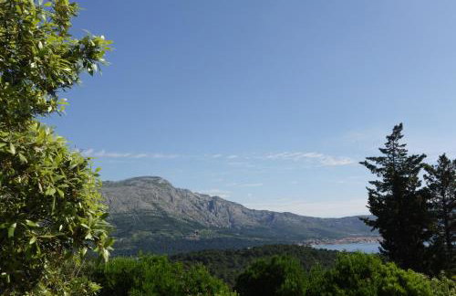 Solar Hill Home - Foto 19