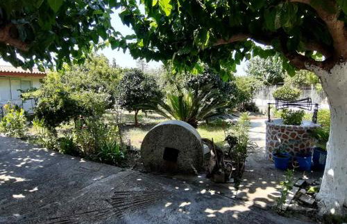 Glyfada's Family Apartment - Photo 3